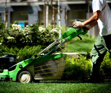 Carpe Diem in Garden - Manutenções de jardins