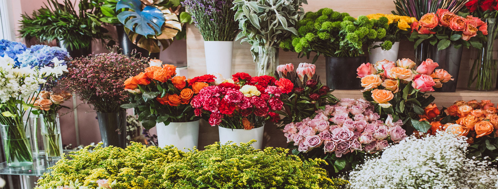 Carpediem Paisagismo - Venha conhecer a nossa floricultura <a href=